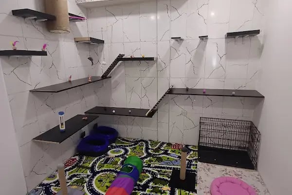 Can Yoldaş Veteriner Kliniği - Resim 8
