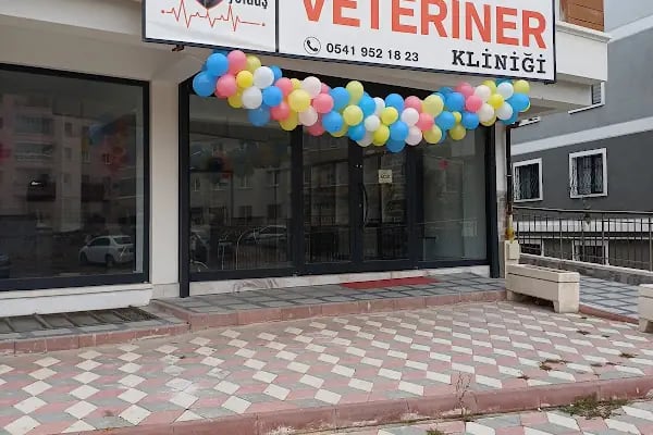 Can Yoldaş Veteriner Kliniği - Resim 1