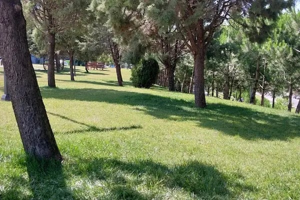 Çayırova Gençlik Parkı - Resim 6