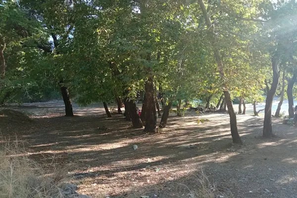 Aksu çayı Piknik alanı - Resim 5