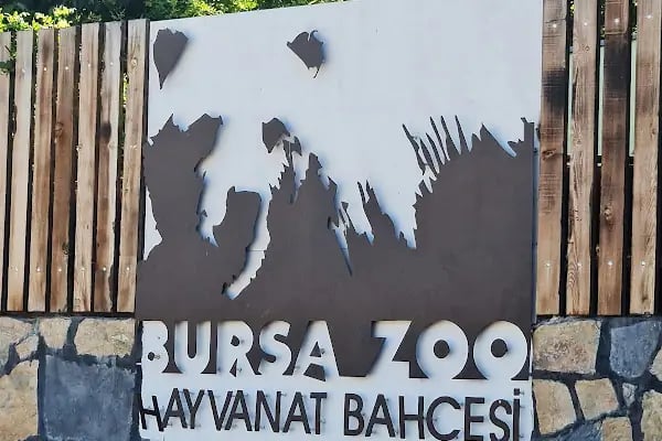 Bursa Hayvanat Bahçesi - Resim 20