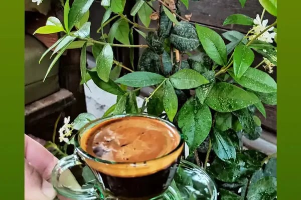 TURUNCU CAFE - Resim 11