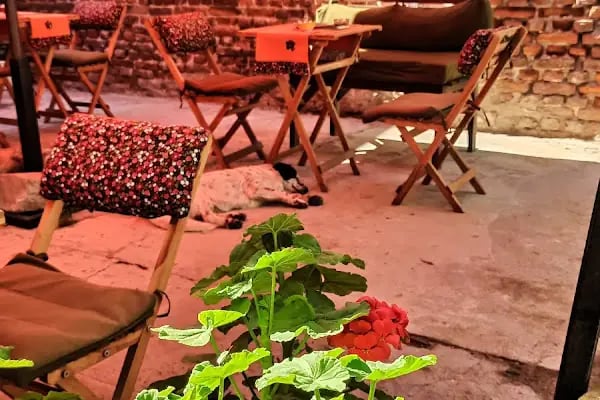 TURUNCU CAFE - Resim 5