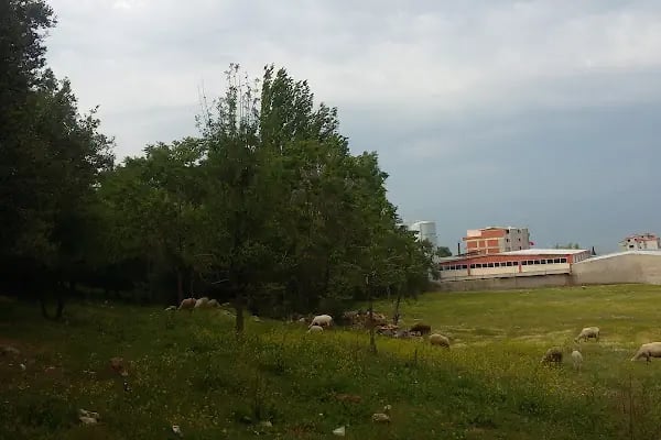 Manisa Alaşehir Devlet Hastanesi - Resim 8