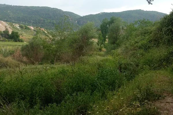 Manisa Alaşehir Devlet Hastanesi - Resim 2