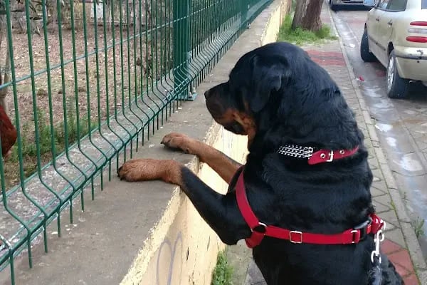 Muhtar Muammer Ersöz Parkı - Resim 3