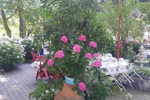 Karacaali Köyü Muhtarlığı - Resim 18