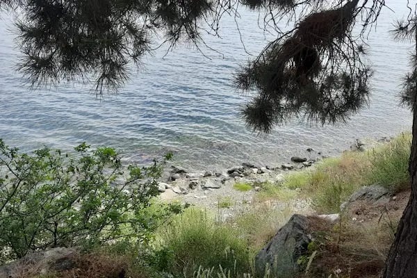 Karacaali Köyü Muhtarlığı - Resim 11