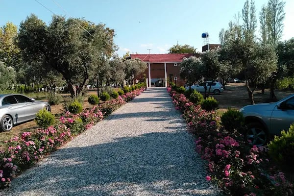 Karacaali Köyü Muhtarlığı - Resim 17