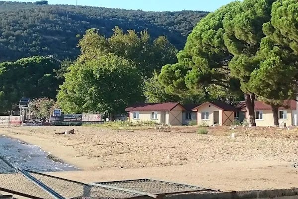 Karacaali Köyü Muhtarlığı - Resim 16