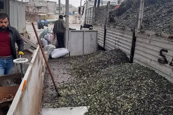 Nizip Çağdaş Zeytinyağı Tesisi - Resim 11