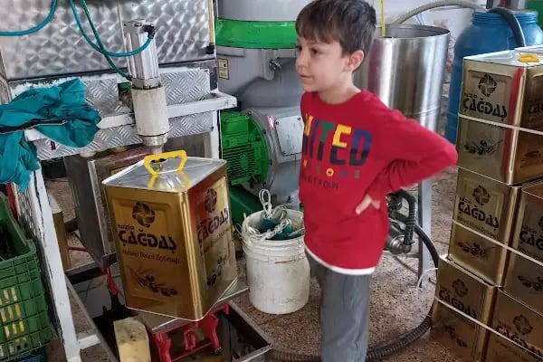 Nizip Çağdaş Zeytinyağı Tesisi - Resim 7