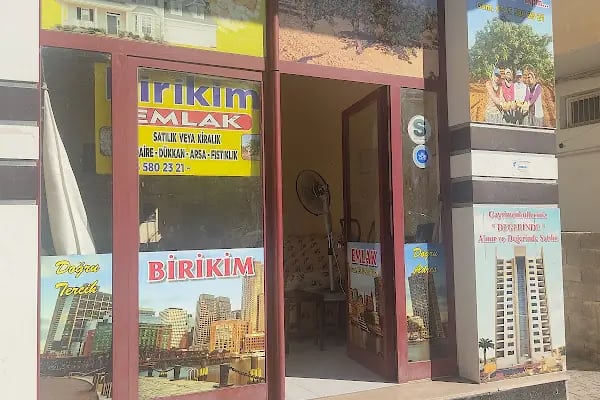 Kumsal ada halisaha ve yüzme havuzu - Resim 3
