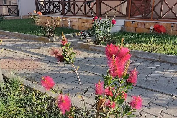 Altınkum Sitesi Sultaniçe sahili enez - Resim 7