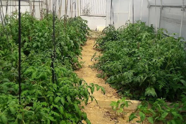 Arnavutköy Özel Egitim Uygulama Okulu - Resim 9
