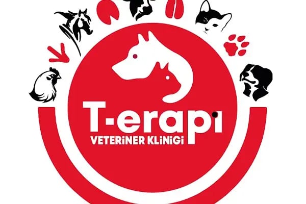T-erapi Veteriner kliniği - Resim 3