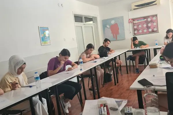Özel Ece Dil Merkezi ve Yurt Dışı Eğitim Danışmanlığı - Resim 8