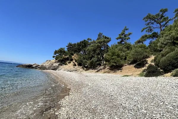 Tavşan Koyu - Resim 11