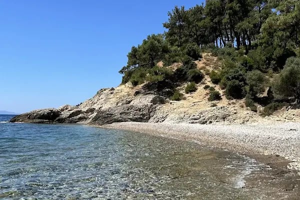 Tavşan Koyu - Resim 9