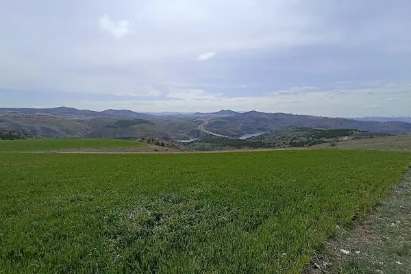 Karacaören Mh. Muhtarlıgı - Resim 8