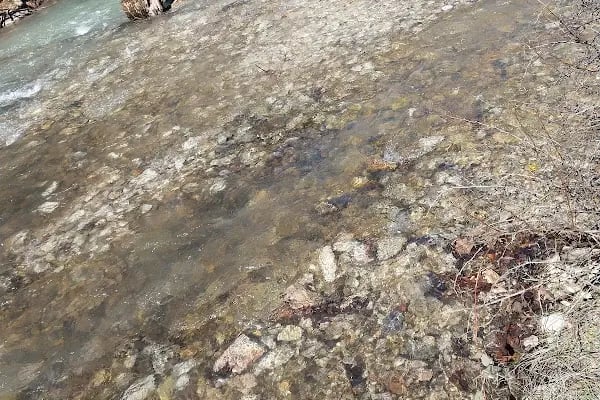Aygır Dibi Pınarı - Resim 17