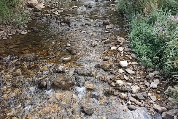 Aygır Dibi Pınarı - Resim 15