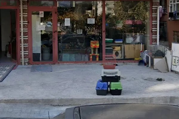 EFO PETSHOP - Resim 5
