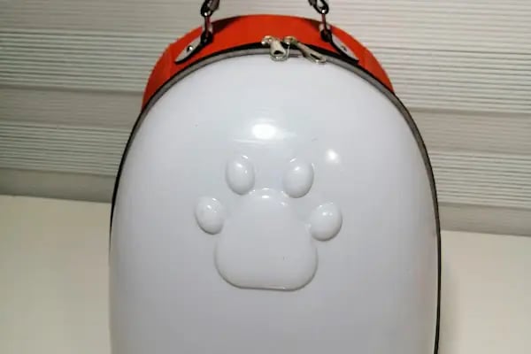 Central Animal Üçkuyular Veteriner Polikliniği - Resim 8