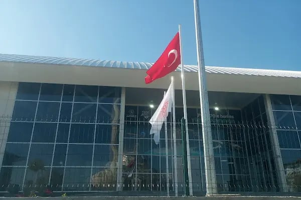 Selçuklu Hocacihan Yarı Olimpik Yüzme Havuzu - Resim 3