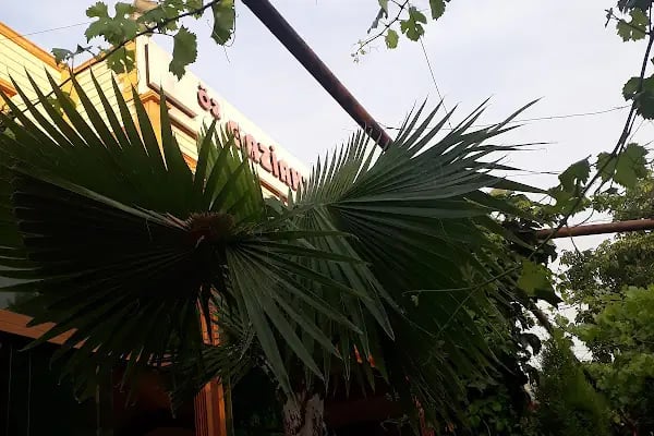 Öz Gaziantep Sofrası - Resim 19