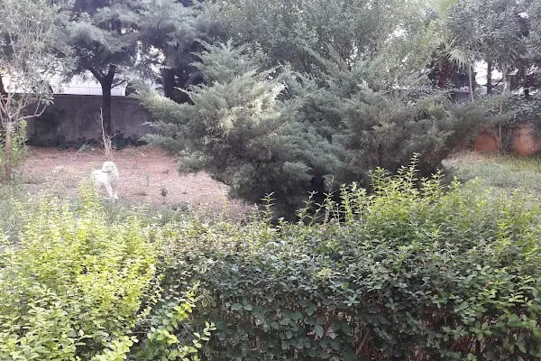 Alize Tatil Sitesi - Resim 3