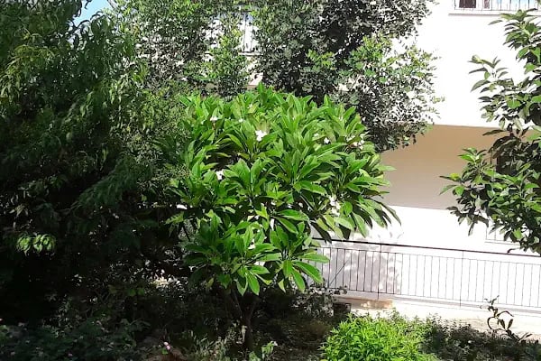 Alize Tatil Sitesi - Resim 10