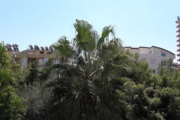 Alize Tatil Sitesi - Resim 7