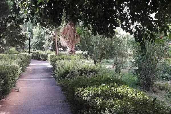 Alize Tatil Sitesi - Resim 5