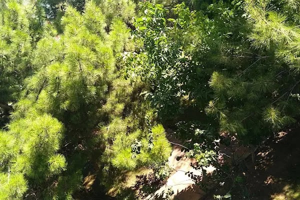 Alize Tatil Sitesi - Resim 6