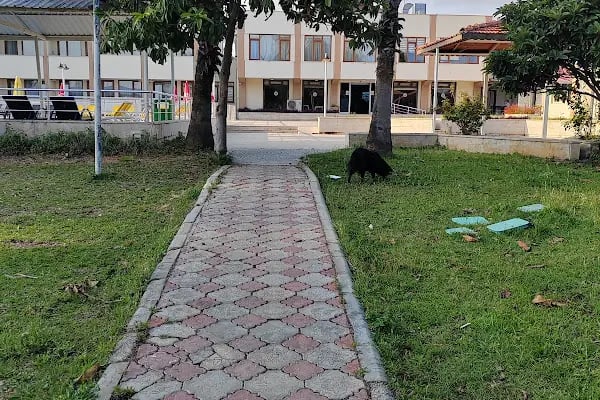 Akdeniz Üniversitesi - Resim 17
