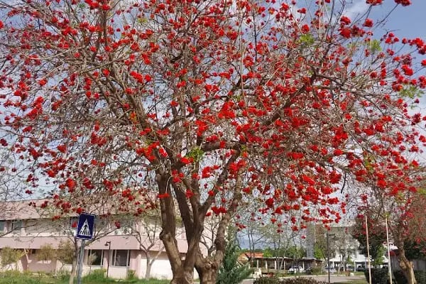 Akdeniz Üniversitesi - Resim 15
