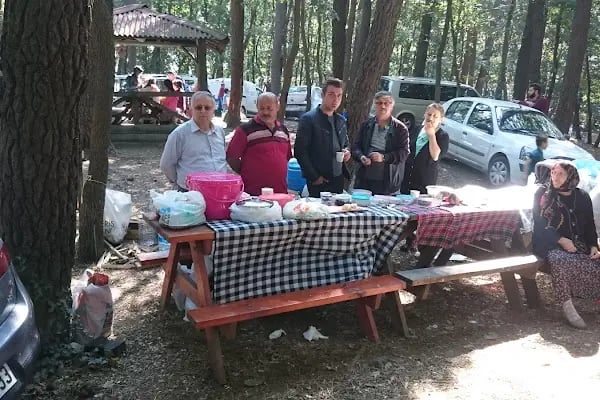 Tayakadın Mesire Yeri - Resim 19