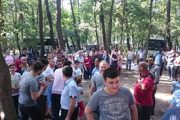 Tayakadın Mesire Yeri - Resim 7