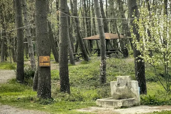 Tayakadın Mesire Yeri - Resim 10