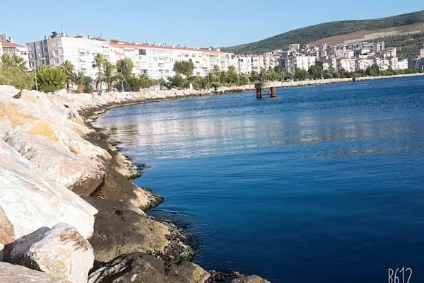 Gemlik Sahili - Resim 6