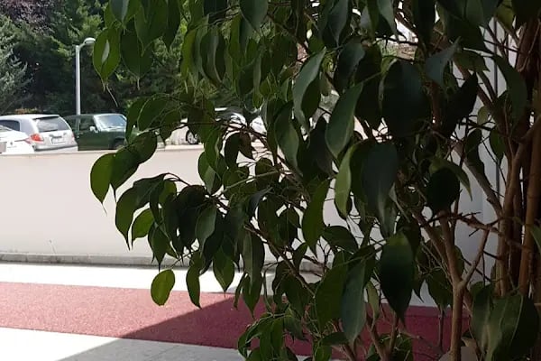 ConceptDent Ağız ve Diş Sağlığı Polikliniği - Resim 5