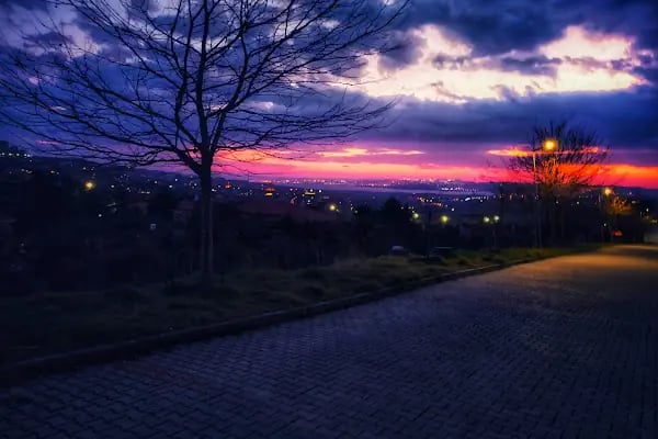 İstanbul Üniversitesi - Cerrahpaşa Bilgiişlem Daire Başkanlığı - Resim 16