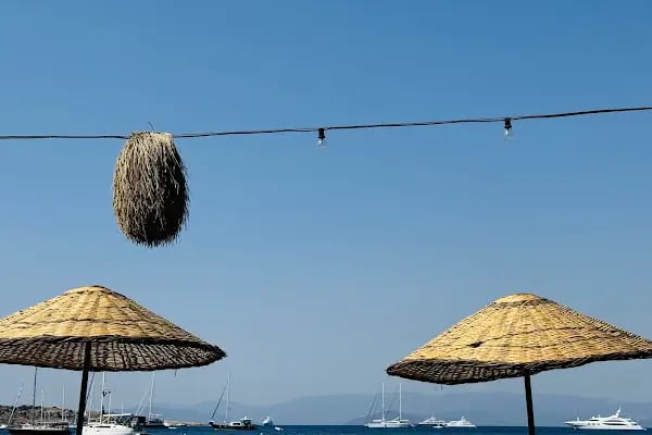 Orkide Otel / Orkide Balık Restaurant - Resim 13