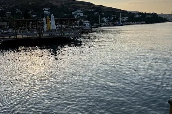 Orkide Otel / Orkide Balık Restaurant - Resim 6