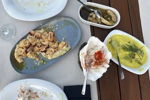 Orkide Otel / Orkide Balık Restaurant - Resim 12