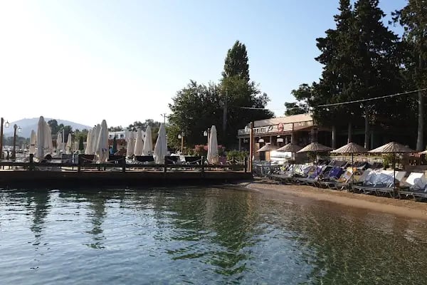 Orkide Otel / Orkide Balık Restaurant - Resim 7