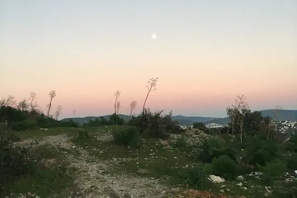 Bella Vista Sitesi - Resim 3