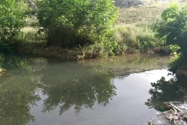 Reis'in Yeri Yüzme Havuzu &amp; Piknik Alanı - Resim 17