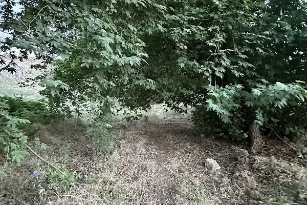 Reis'in Yeri Yüzme Havuzu &amp; Piknik Alanı - Resim 12
